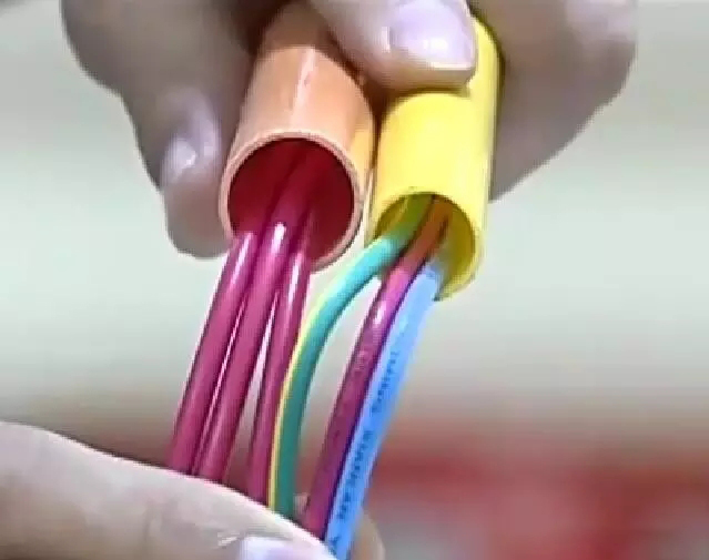 13.webp.jpg 13.webp.jpg